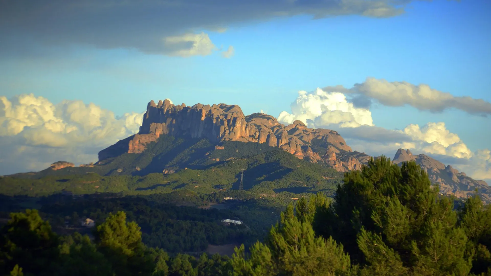 Anoia