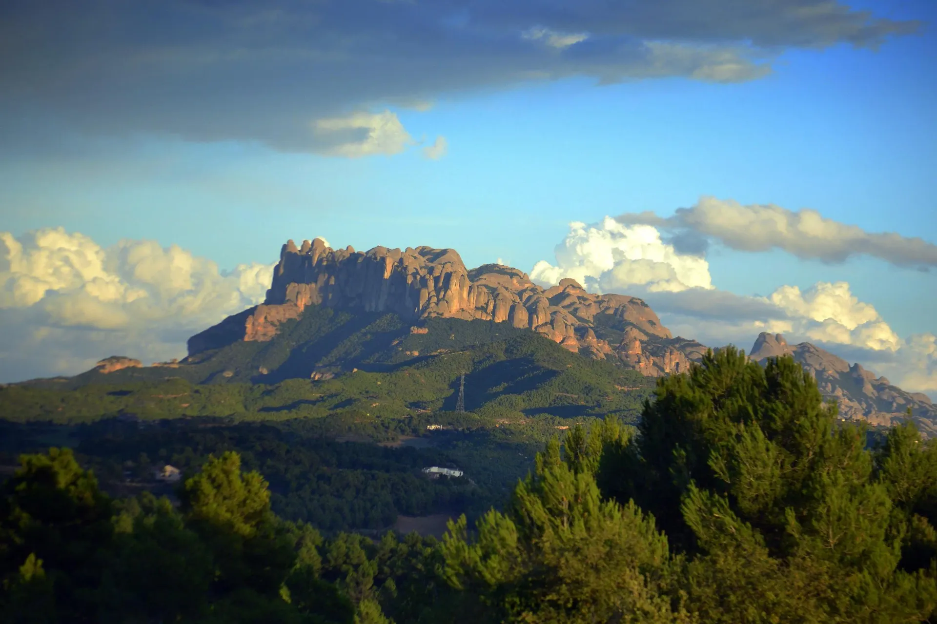 Anoia