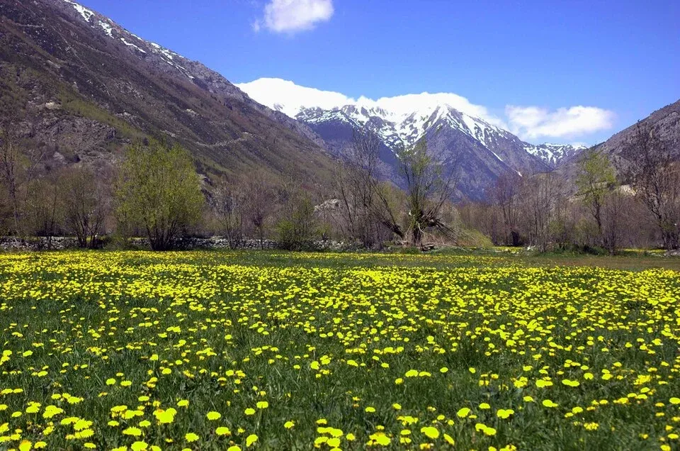 Cerdanya