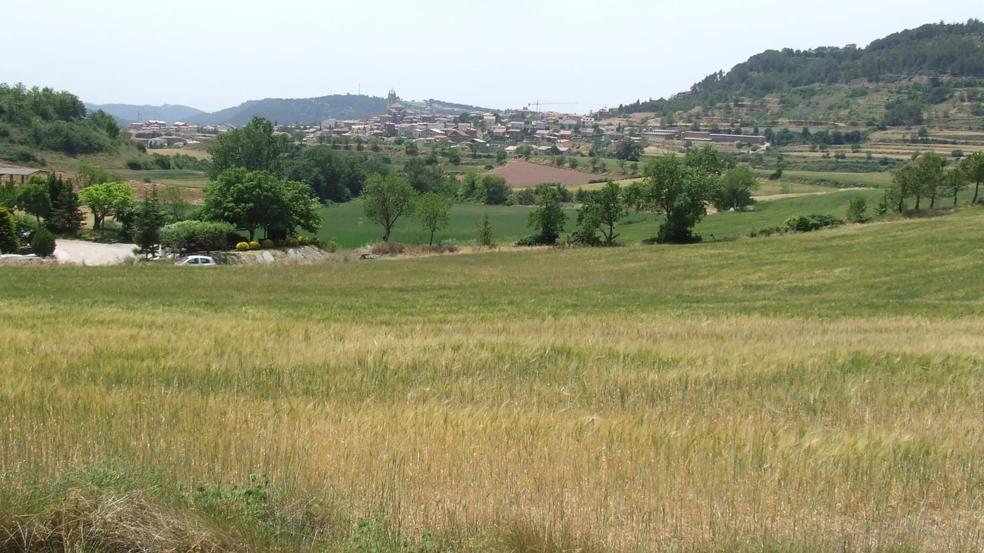 Reforma Integral de tu Cocina en Moià